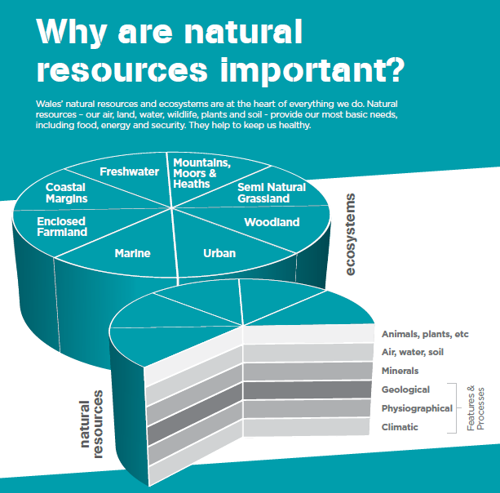 Natural Resources Wales Jobs Natural Resources Wales Jobs