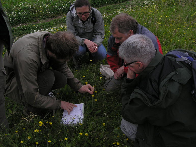 NE Plant ID at Coatham Stob