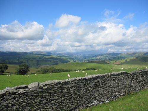 view of a green field over a wall view of a green field over a wall